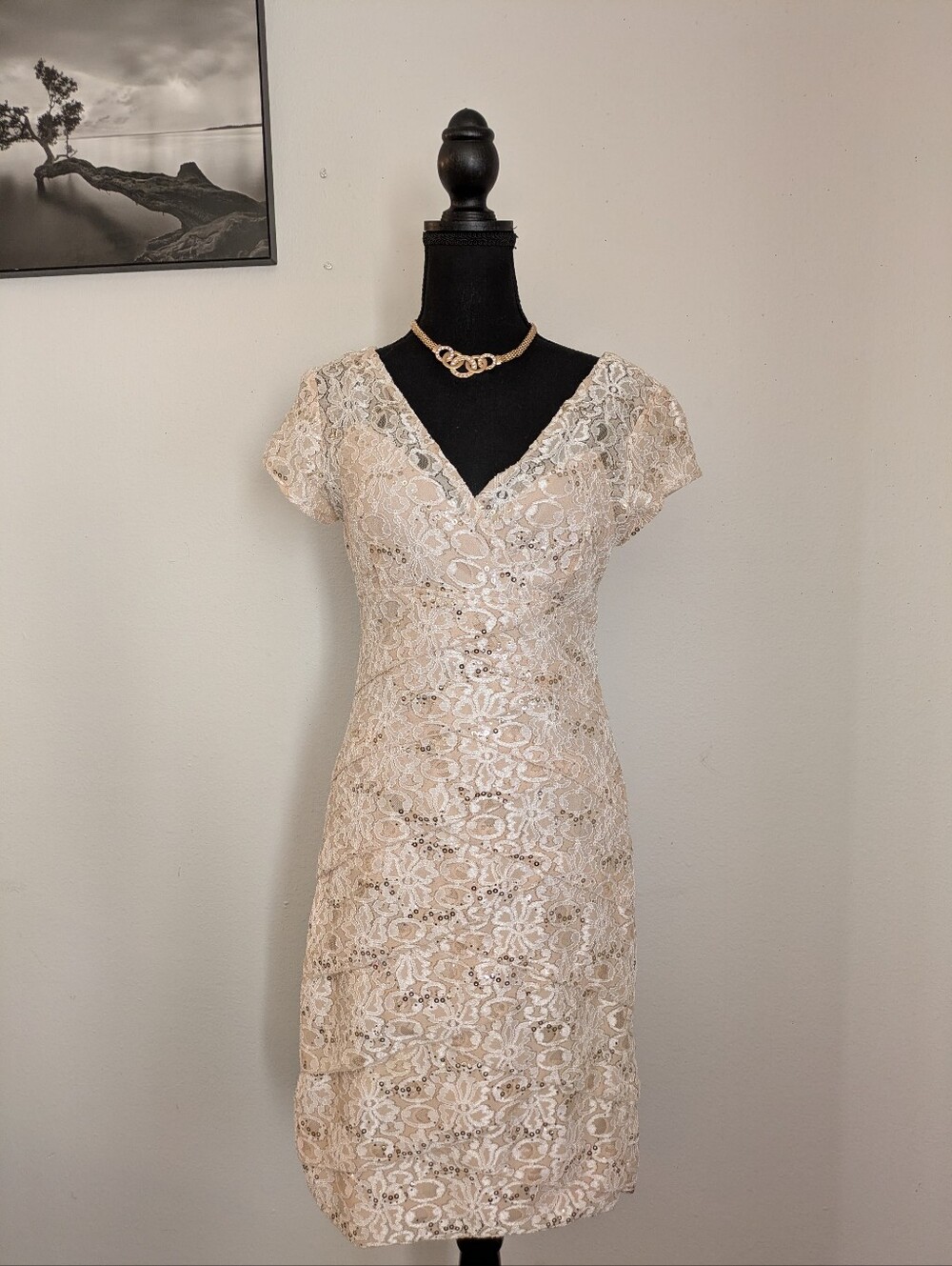 Scarlett Beige Lace Sequin Tiered Sheath Dress Size 8 Short Sleeve V-Neck Formal